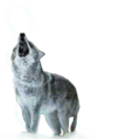 Avatar de xexish