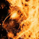 Avatar de Ricardo I