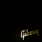 Avatar de Gibson
