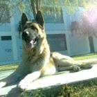 Avatar de SebaS-DG