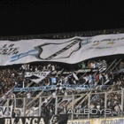 Avatar de albocapo