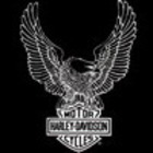 Avatar de doryon